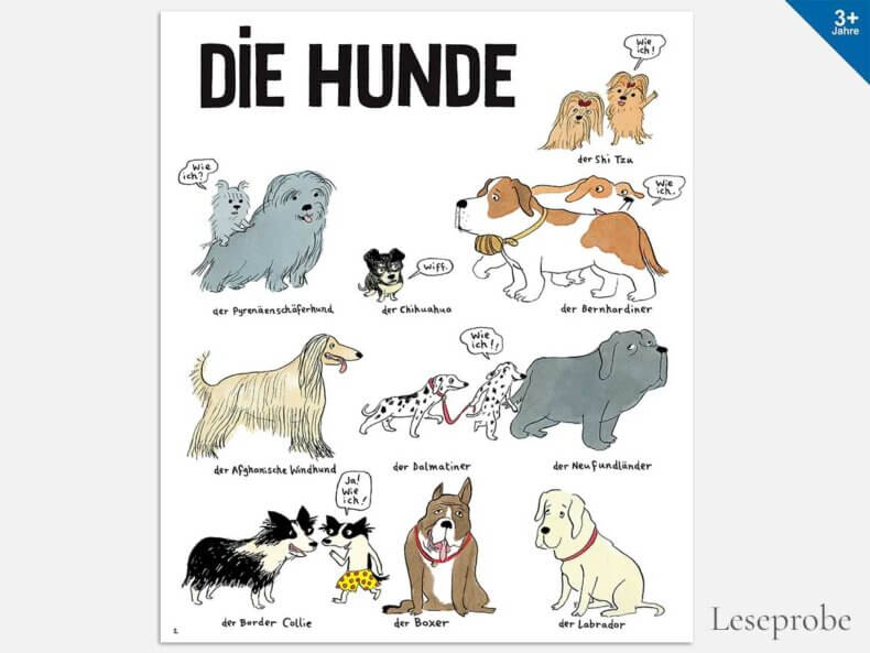 Die-Hundebande-und-ihre-Welt-Leseprobe-01