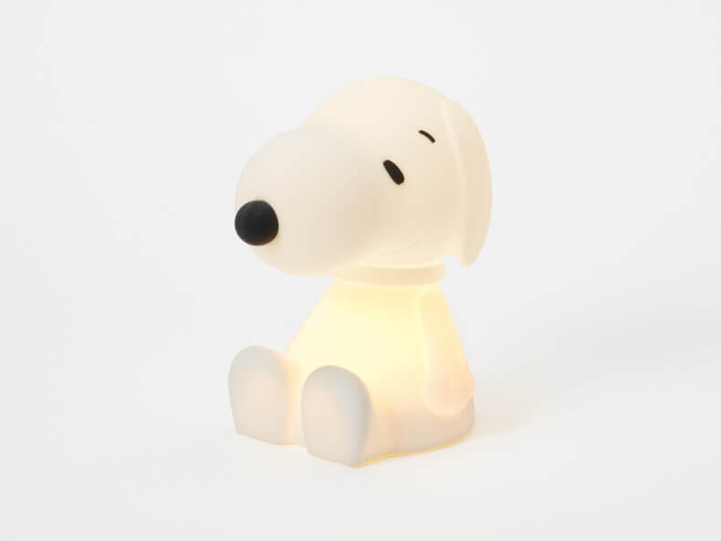 Snoopy-Bundle-of-Light-Licht